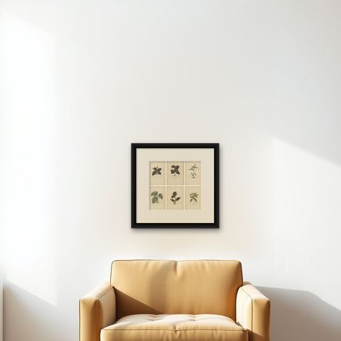 Set of 6 Botany Prints, Sonerila Margaritacea, Goodyera Rubro-Venia, 1891, shown framed on a wall