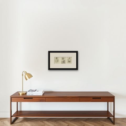 Egyptian Plants, Botanical Studies of Flora from Egypt, c.1776, shown framed on a wall