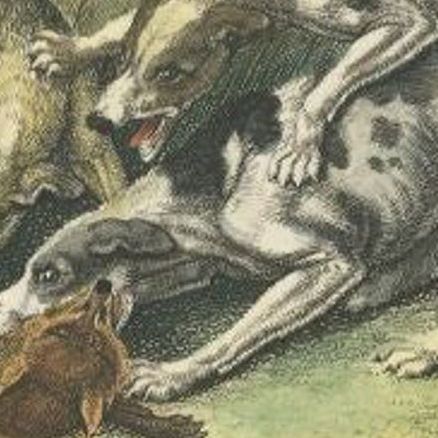 Antique Print of a Dog and Death of a Fox by Howitt, 1812, close-up 1