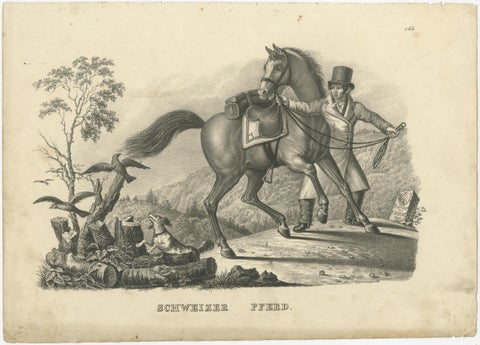 Antique Print of a Swiss Horse, view 2