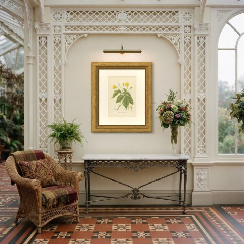 Chelidonium Japonicum, Yellow Flowered Poppy Chromolithograph, 1859, shown framed in a room