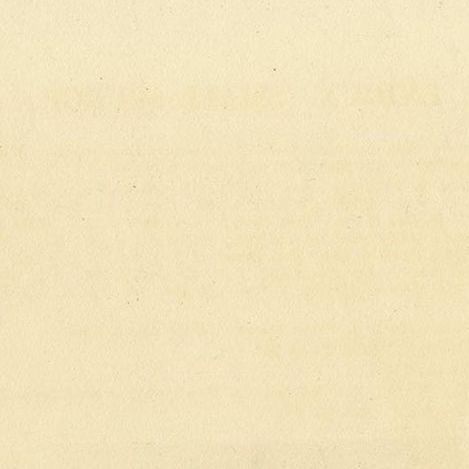 Antique Botany Print of Euphorbia Exigua by Curtis, circa 1817, close-up 1