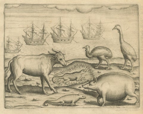 De Bry’s India and East Indies, Cockfights, Sacred Trees & Exotic Animals, 1598, close-up 4