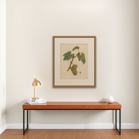 Rare Original Antique Lithograph of the Jouannen Grape Variety, 1890, shown framed on a wall