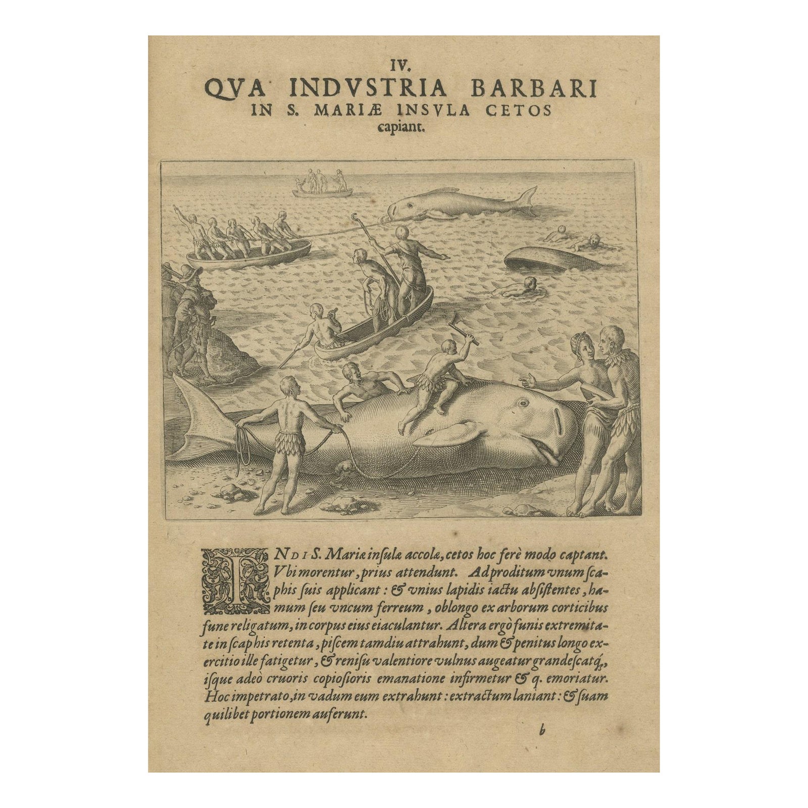 The Whale Harvest of St. Mary's Island - Copper Engraving by de Bry, 1601