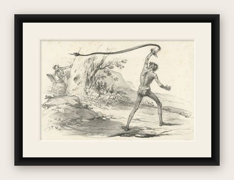 Antique Print of the Encounter with a Black Snake, shown framed