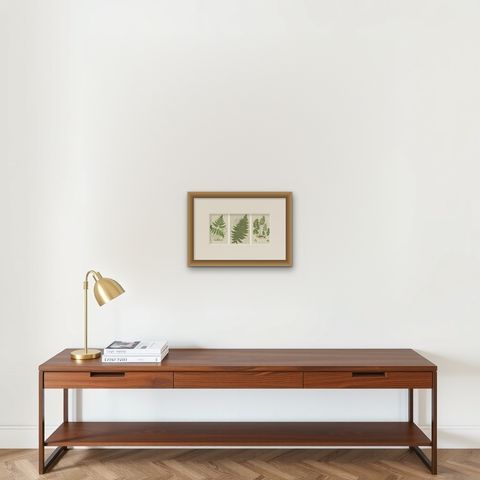 British Ferns Triptych, Three Antique Botanical Prints, Anne Pratt, 1873, shown framed on a wall