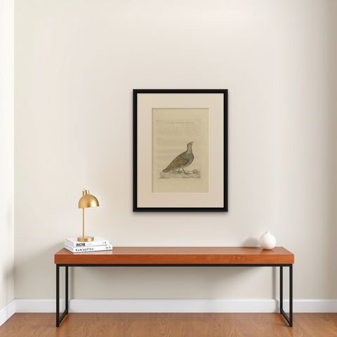 Antique Bird Print of a Female Grey Partridge by Sepp & Nozeman, 1789, shown framed on a wall