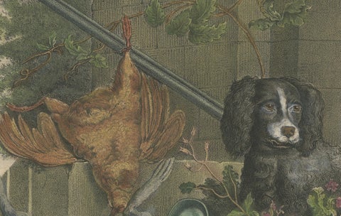 1835 Hand-Colored Lithograph: Hunting Still Life with Game and Dog, close-up 3