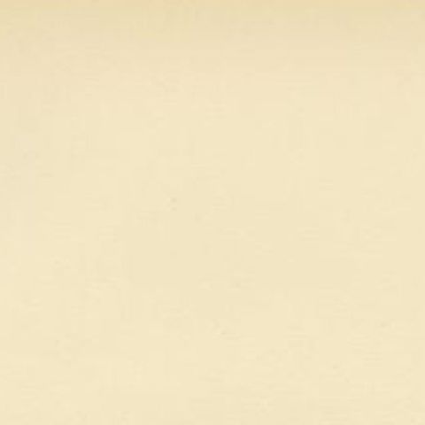 Beautiful Antique Bird Print of the Tawny Pipit, 1927, close-up 1