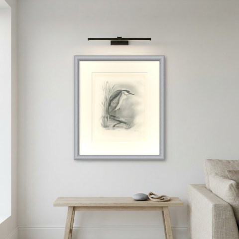 Adult Night Heron on a Fallen Branch, Plate CLII after Lilian Medland, c. 1909, shown framed on a wall