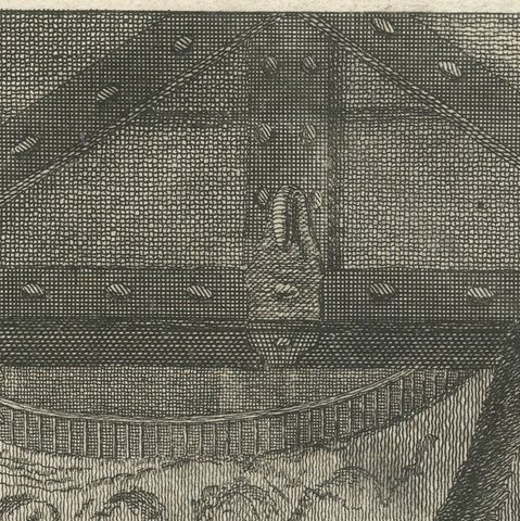 Original Antique Print of an angry Lion, close-up 1