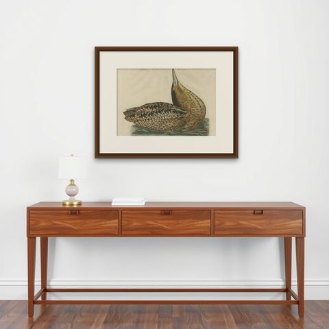 Ardea Stellaris Rufa, Eurasian Bittern from Nederlandsche Vogelen, 1809, shown framed on a wall