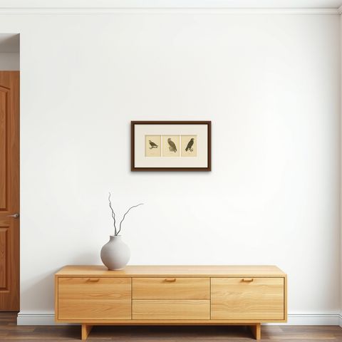 Nordic Birds of Prey Triptych, Swedish Lithographs, Scandinavian Raptors 1929, shown framed on a wall