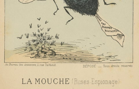 Imperial Menagerie: Joseph-Marie Piétri - The Fly (Deceit - Espionage), 1870, close-up 2