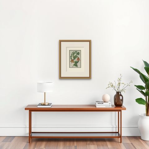 Antique Botany Print of the Illairea Canarinoides by Van Houtte 'c.1845', shown framed on a wall
