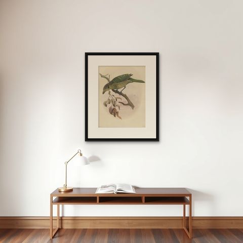 Antique Bird Print of the Black-Cheek Cat Bird by Elliot, c.1873, shown framed on a wall