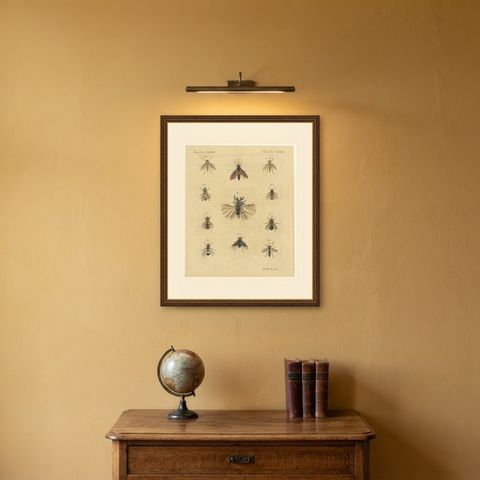 Eleven Flies and Hover Flies, Antique Bertuch Print, circa 1815, shown framed on a wall