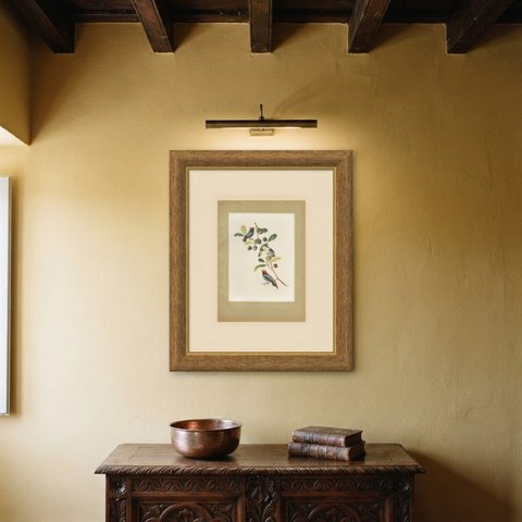Manakins, Brazilian Bird Print, Descourtilz, 1944, shown framed on a wall