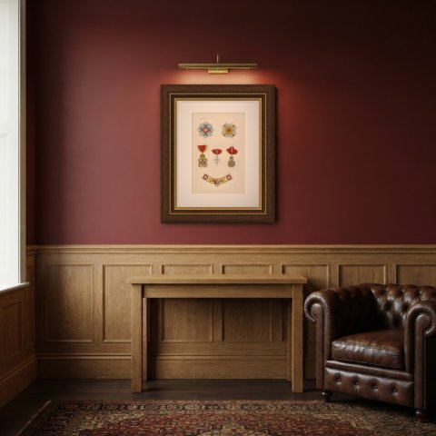 Orders of Brunswick, Order of Henry the Lion Insignia, Plate XVII, 1844, shown framed in a room