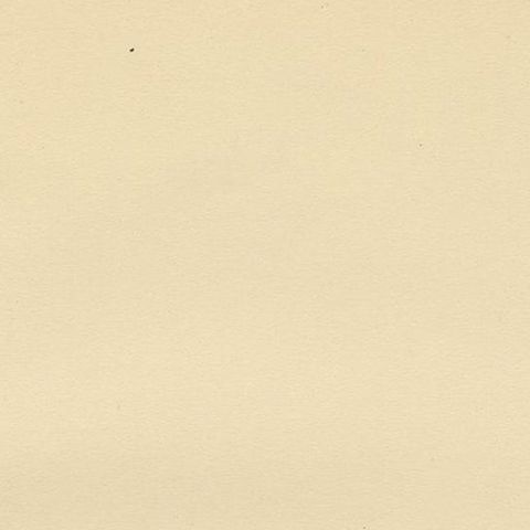 Antique Bird Print of the Common Wood Pigeon by Von Wright, 1929, close-up 1