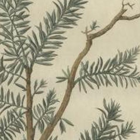 Antique Bird Print of the Eurasian Wren by Sepp & Nozeman, 1789, close-up 1