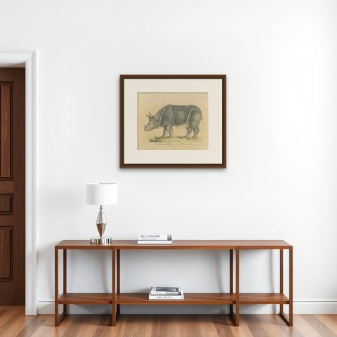 Indian Rhinoceros (Rhinoceros unicornis), Brodtmann Natural History Print, 1816, shown framed on a wall