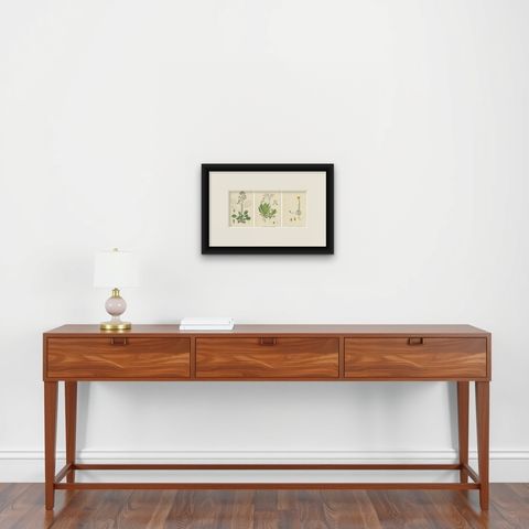 Botanical Engravings of London-Pride Varieties and Yellow Marsh Saxifrage, 1902, shown framed on a wall