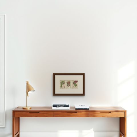 1897 Botanical Prints, Love-Lies-Bleeding, Variegated Amaranth, and Cockscomb, shown framed on a wall