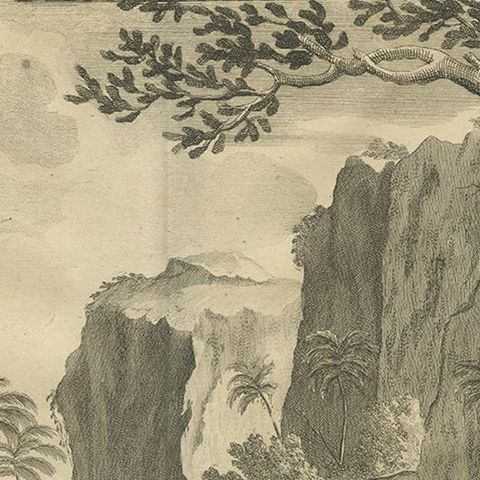 Antique Print Depicting a Cuscus, Chameleon and other Lizzards and Animals, 1726, close-up 1