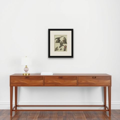 Antique Animal Print of various Owl Species by Bertuch, circa 1800, shown framed on a wall