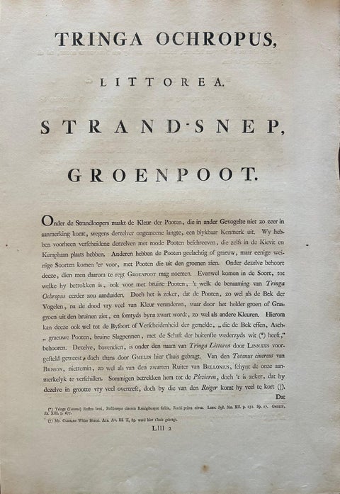 Antique Bird Print of the Green Sandpiper by Sepp & Nozeman, 1809, view 10