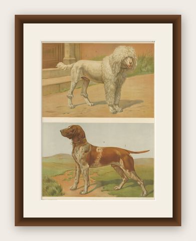 Poodle and Hound, Large Antique Dog Poster by Briedwiser, c.1880, shown framed