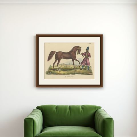 Antique Hand Colored Print of a Persian Horse, shown framed on a wall