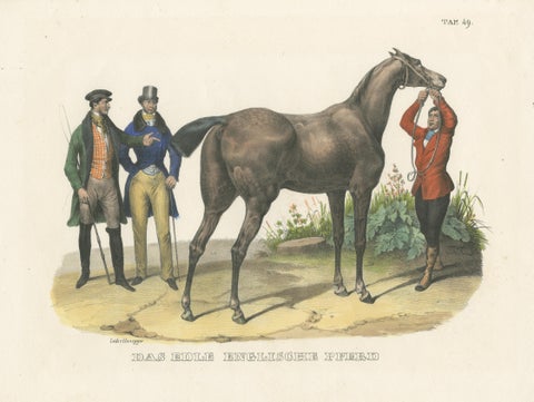 Original Hand Colored Antique Print of an English Horse, ca.1827, view 3