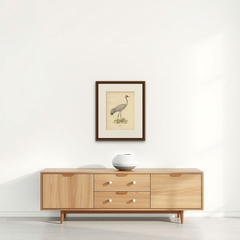 Antique Bird Print of the Common Crane 'Male' by Von Wright, 1929, shown framed on a wall