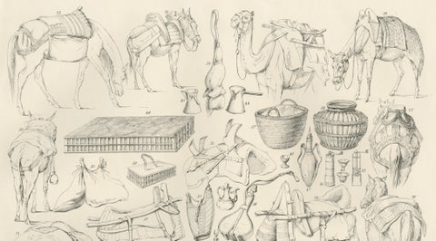 Antique Camel & Caravan Equipment Studies from Maximilian in Bavaria, 1846, close-up 2