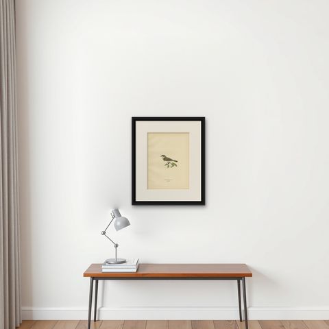 Decorative Antique Bird Print of the Lesser Whitethroat, 1927, shown framed on a wall