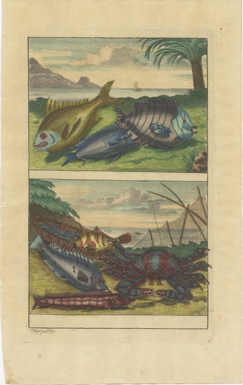 Set of 2 Colored Antique Prints of Various Fishes and Crustaceans, view 2
