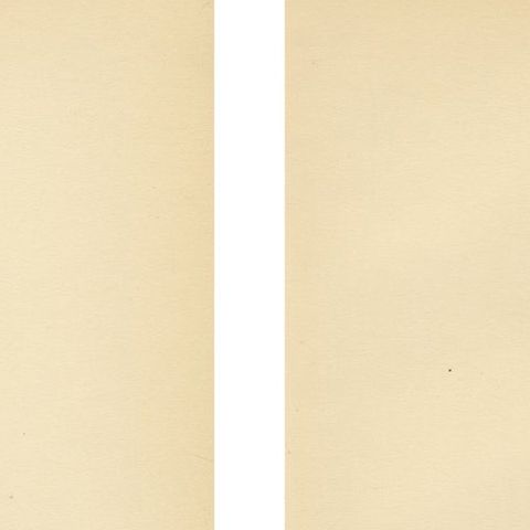 ntique Great Crested Grebe Bird Lithographs Set of 2, Sweden Ornithology 1929, close-up 1