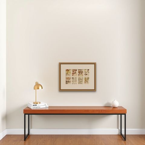 Set of 8 Antique Mycology Prints of Various Fungi by Barla, circa 1890, shown framed on a wall