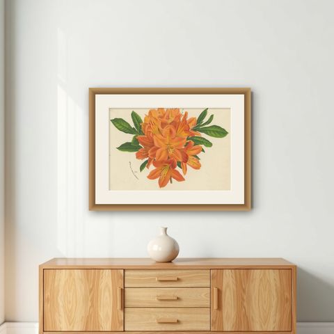 Enchanted Blossoms: Masterpieces of Botanical Art from Van Houtte's Florilegium, shown framed on a wall