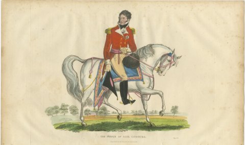Prince Leopold of Saxe Coburg with Hat in Hand on a Gray Horse, 1816, view 2