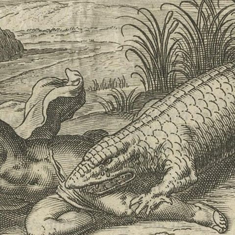 Rare Antique Print of A Cupid being Eaten by A Crocodile, ca. 1608, close-up 2