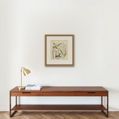 Cassia Cinnamon and Galangal Spices, Antique Bertuch Print, circa 1805, shown framed on a wall