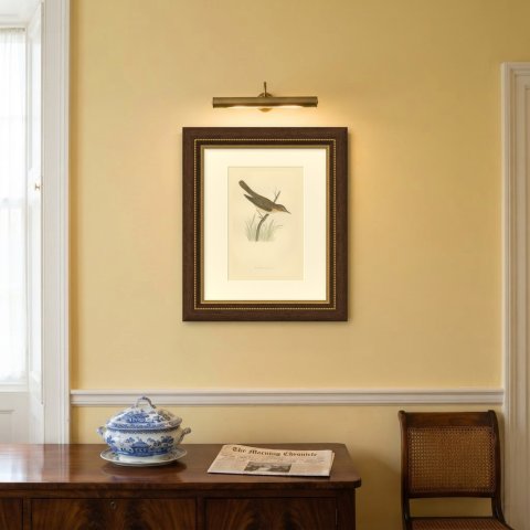 Marsh Warbler above a Grass Tussock, Hand Colored Morris Bird Print, 1896, shown framed on a wall