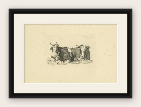 Tranquil Pastoral Scene with Two Resting Cows, by Anthony Oberman in 1810, shown framed
