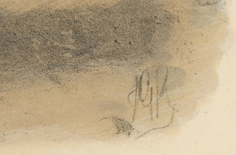 The Common Skua: Hand-colored from Dresser's Birds of Europe (1871-1896), close-up 2