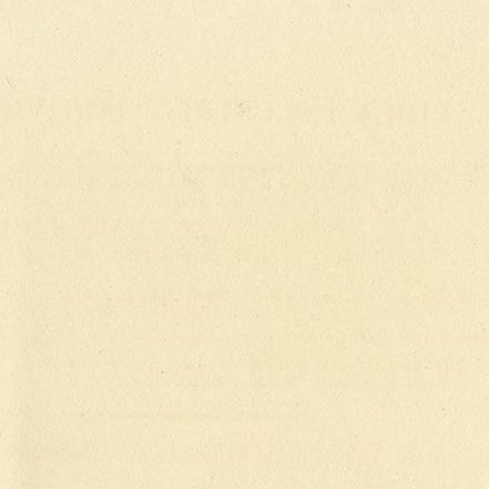 Antique Botany Print of Viola Palustris by Curtis, circa 1817, close-up 1