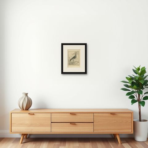 Antique Print of the Kamichi Bird by Buffon, 1795, shown framed on a wall